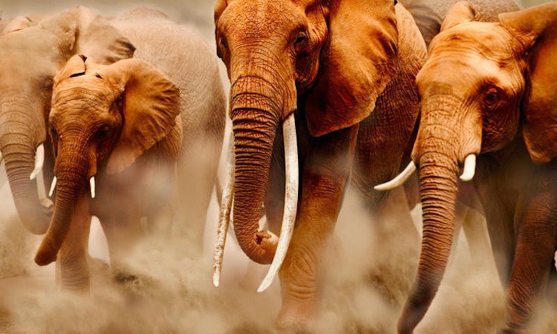 odio-aliquid-et-ullam-consequuntur