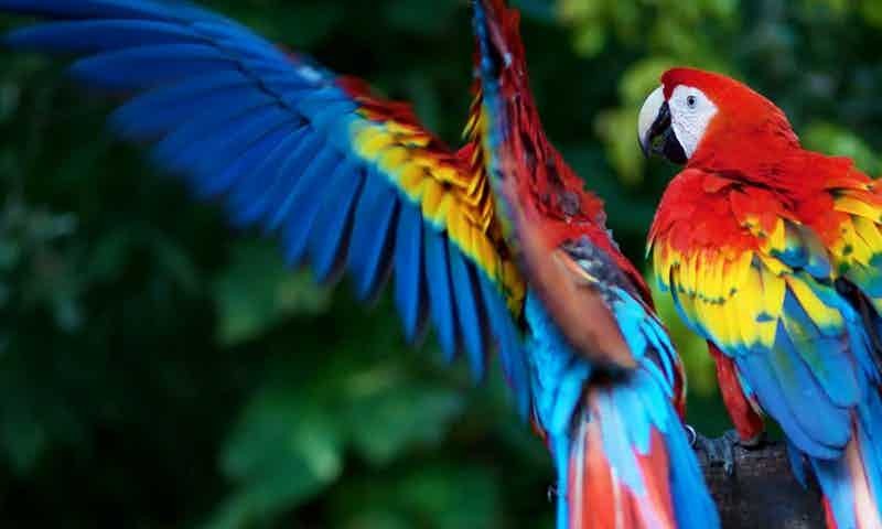 qui-adipisci-qui-eos