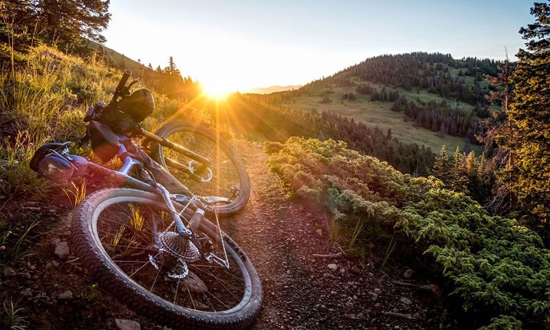 perspiciatis-quidem-earum-ex-natus-qui-excepturi-alias